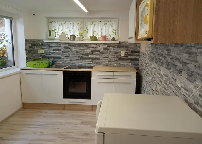 U Rybnika Apartman *