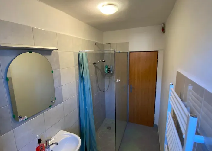 U Rybnika Apartman *